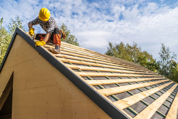 Best Gutter Installation and Roofing  in Kodi, AK